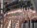 Brazil exports about a million tons of halal poultry